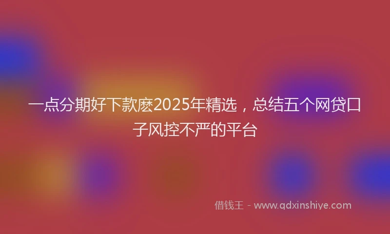 一点分期好下款麽2025年精选，总结五个网贷口子风控不严的平台