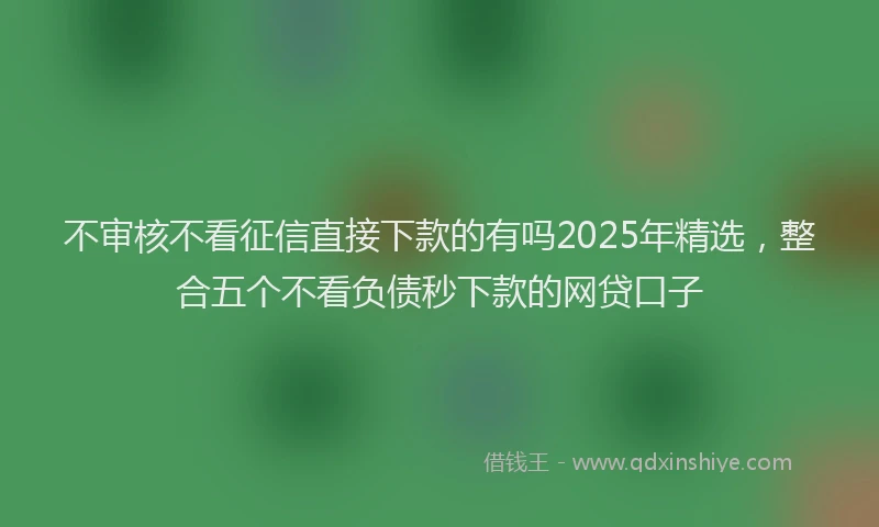 不审核不看征信直接下款的有吗2025年精选，整合五个不看负债秒下款的网贷口子