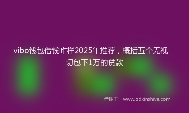 vibo钱包借钱咋样2025年推荐，概括五个无视一切包下1万的贷款