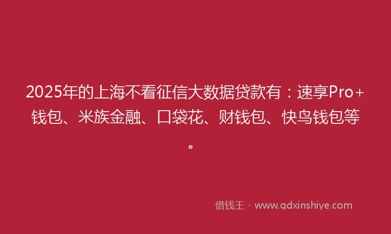 2025年的上海不看征信大数据贷款有：速享Pro+钱包、米族金融、口袋花、财钱包、快鸟钱包等。