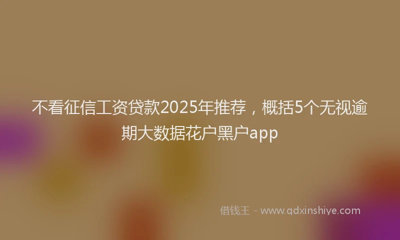 不看征信工资贷款2025年推荐，概括5个无视逾期大数据花户黑户app
