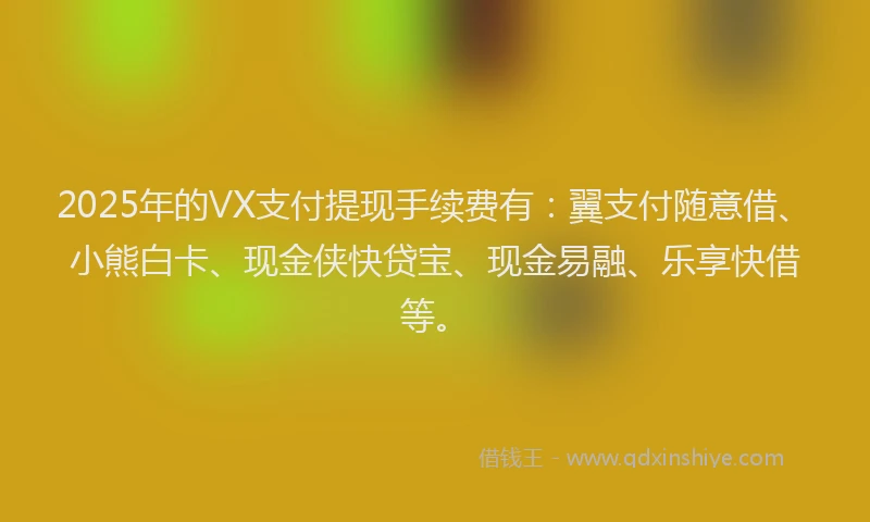 2025年的VX支付提现手续费有：翼支付随意借、小熊白卡、现金侠快贷宝、现金易融、乐享快借等。