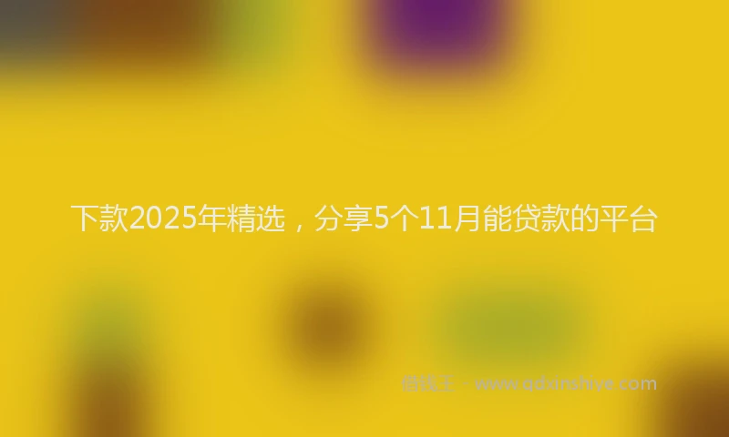 下款2025年精选，分享5个11月能贷款的平台