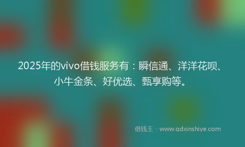 2025年的vivo借钱服务有：瞬信通、洋洋花呗、小牛金条、好优选、甄享购等。