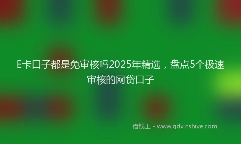 E卡口子都是免审核吗2025年精选，盘点5个极速审核的网贷口子