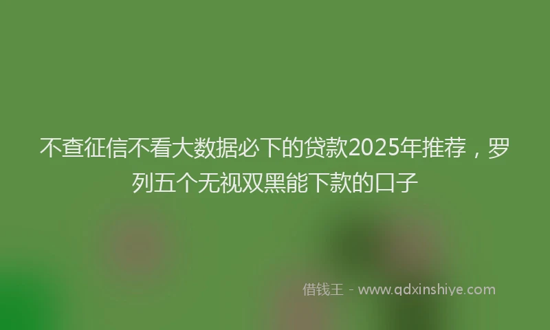 不查征信不看大数据必下的贷款2025年推荐，罗列五个无视双黑能下款的口子