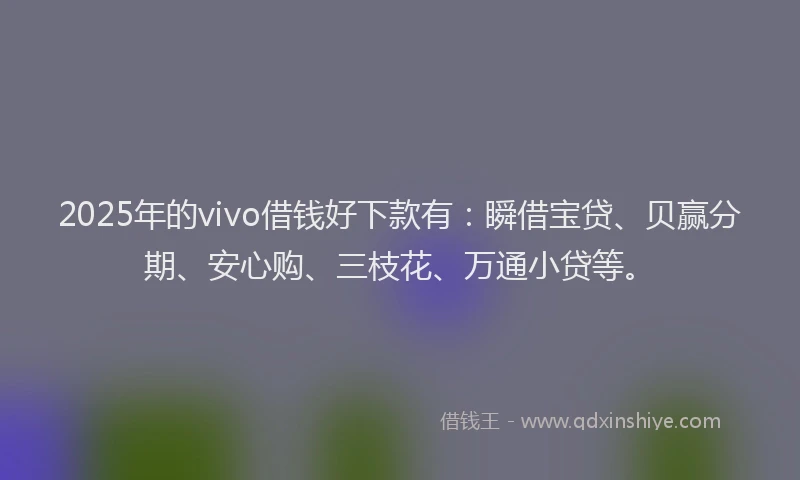 2025年的vivo借钱好下款有：瞬借宝贷、贝赢分期、安心购、三枝花、万通小贷等。