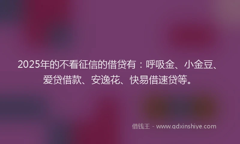 2025年的不看征信的借贷有：呼吸金、小金豆、爱贷借款、安逸花、快易借速贷等。
