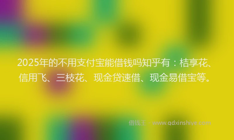 2025年的不用支付宝能借钱吗知乎有：桔享花、信用飞、三枝花、现金贷速借、现金易借宝等。