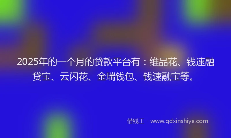 2025年的一个月的贷款平台有：维品花、钱速融贷宝、云闪花、金瑞钱包、钱速融宝等。
