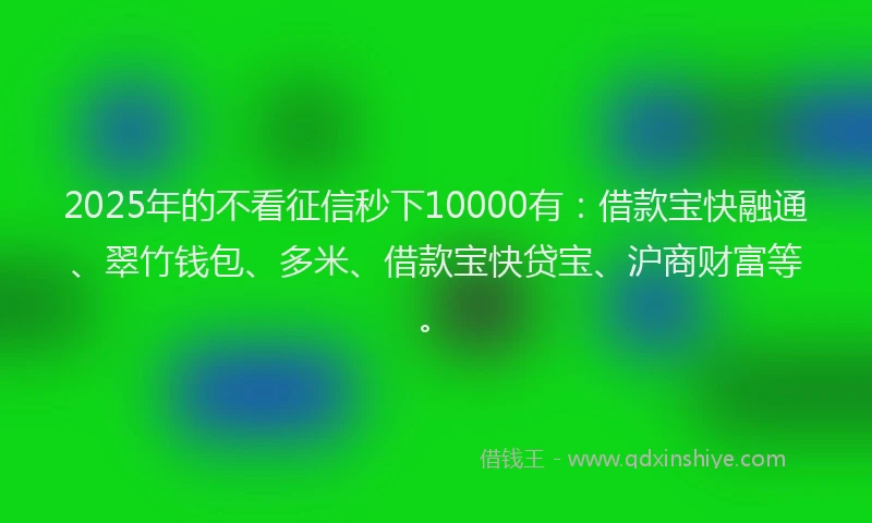 2025年的不看征信秒下10000有：借款宝快融通、翠竹钱包、多米、借款宝快贷宝、沪商财富等。