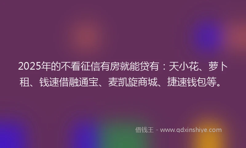 2025年的不看征信有房就能贷有：天小花、萝卜租、钱速借融通宝、麦凯旋商城、捷速钱包等。