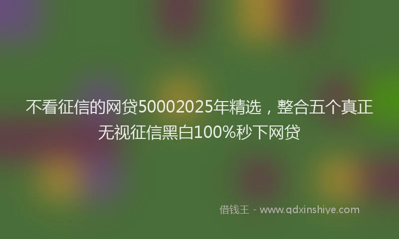 不看征信的网贷50002025年精选，整合五个真正无视征信黑白100%秒下网贷