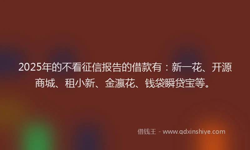 2025年的不看征信报告的借款有：新一花、开源商城、租小新、金瀛花、钱袋瞬贷宝等。