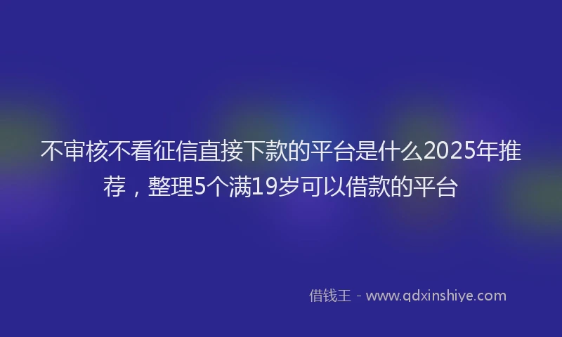 不审核不看征信直接下款的平台是什么2025年推荐，整理5个满19岁可以借款的平台