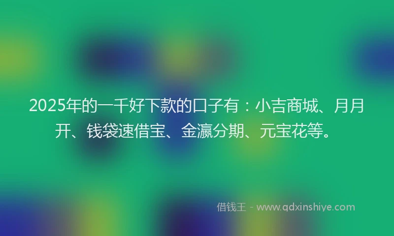 2025年的一千好下款的口子有：小吉商城、月月开、钱袋速借宝、金瀛分期、元宝花等。