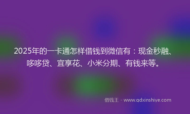 2025年的一卡通怎样借钱到微信有：现金秒融、哆哆贷、宜享花、小米分期、有钱来等。