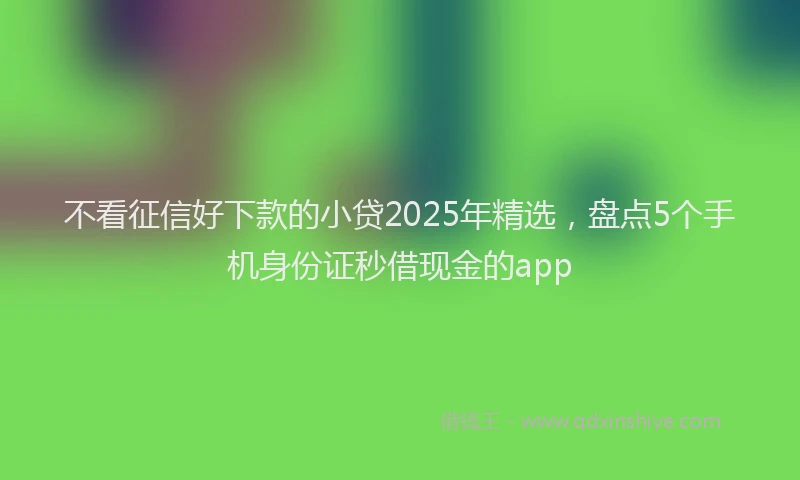 不看征信好下款的小贷2025年精选，盘点5个手机身份证秒借现金的app