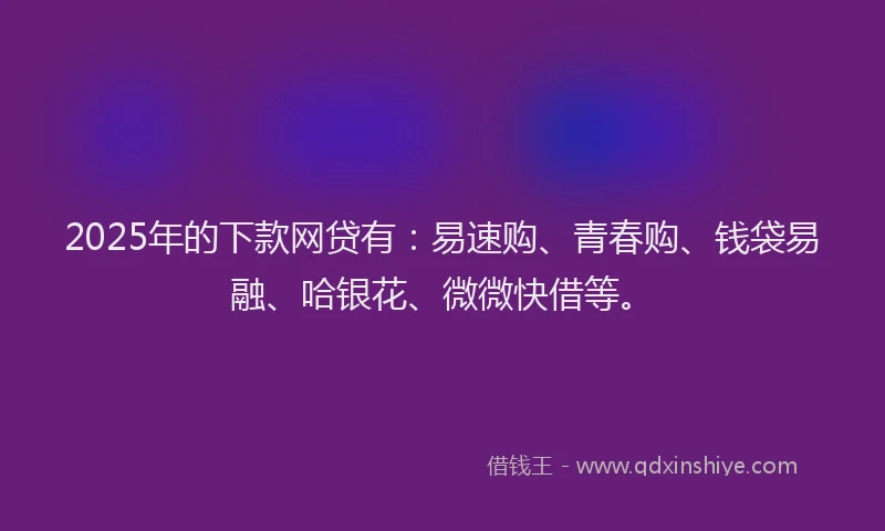 2025年的下款网贷有：易速购、青春购、钱袋易融、哈银花、微微快借等。