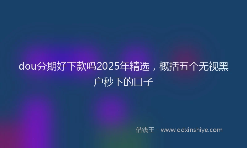 dou分期好下款吗2025年精选，概括五个无视黑户秒下的口子