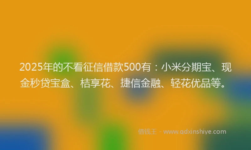 2025年的不看征信借款500有：小米分期宝、现金秒贷宝盒、桔享花、捷信金融、轻花优品等。