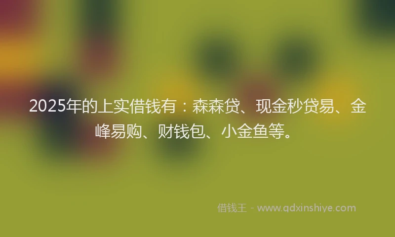 2025年的上实借钱有：森森贷、现金秒贷易、金峰易购、财钱包、小金鱼等。