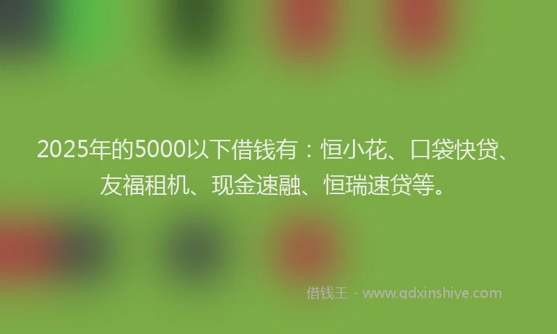 2025年的5000以下借钱有：恒小花、口袋快贷、友福租机、现金速融、恒瑞速贷等。