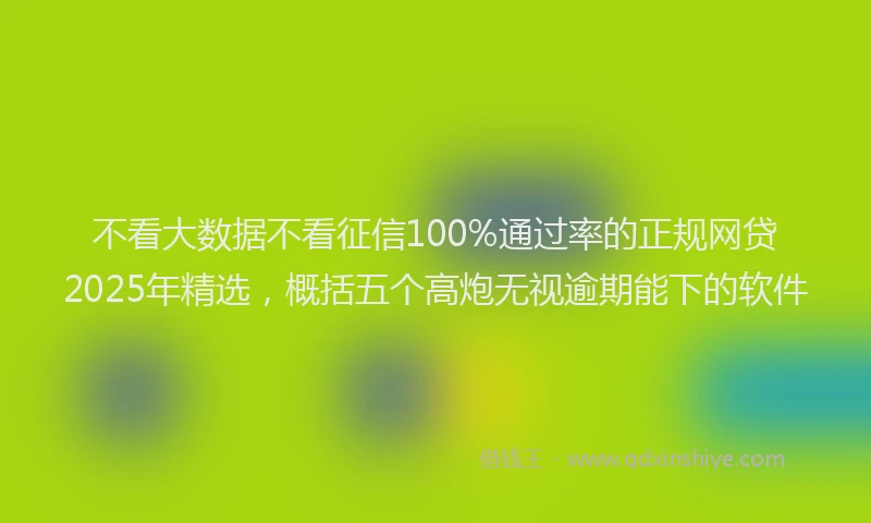 不看大数据不看征信100%通过率的正规网贷2025年精选，概括五个高炮无视逾期能下的软件