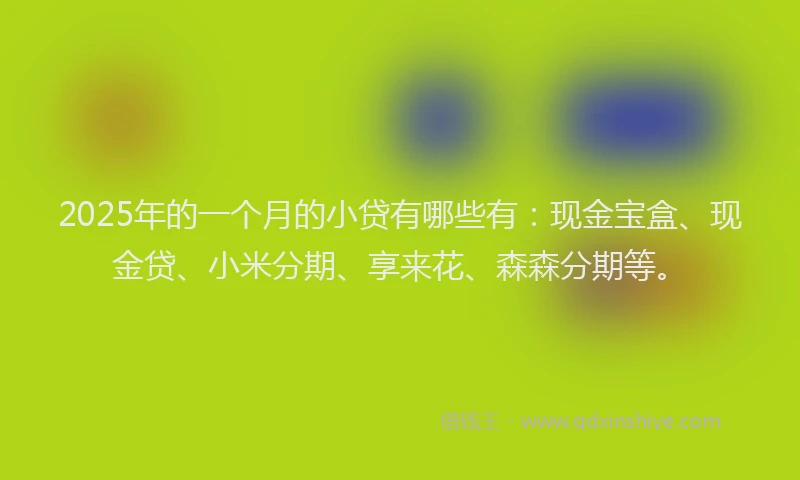 2025年的一个月的小贷有哪些有：现金宝盒、现金贷、小米分期、享来花、森森分期等。