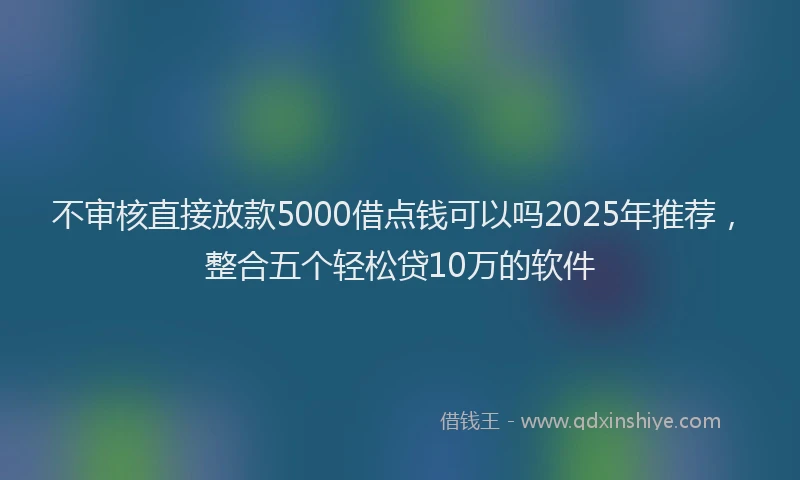 不审核直接放款5000借点钱可以吗2025年推荐，整合五个轻松贷10万的软件