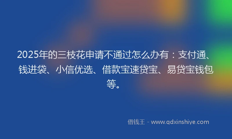 2025年的三枝花申请不通过怎么办有：支付通、钱进袋、小信优选、借款宝速贷宝、易贷宝钱包等。