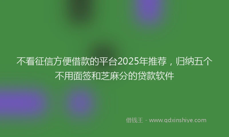 不看征信方便借款的平台2025年推荐，归纳五个不用面签和芝麻分的贷款软件