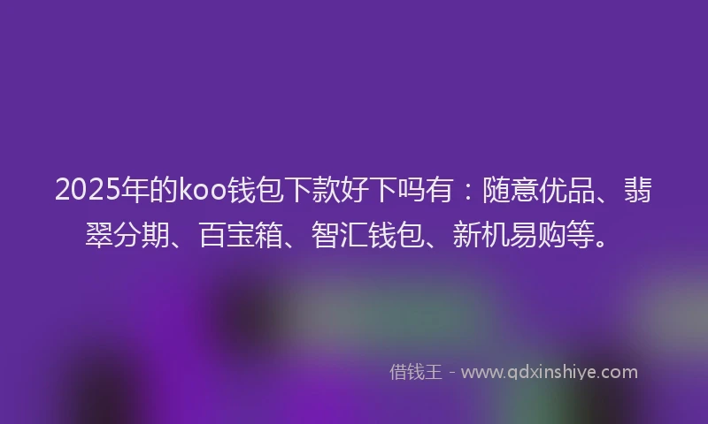 2025年的koo钱包下款好下吗有：随意优品、翡翠分期、百宝箱、智汇钱包、新机易购等。