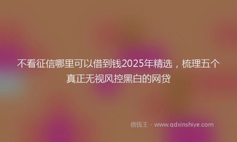 不看征信哪里可以借到钱2025年精选，梳理五个真正无视风控黑白的网贷