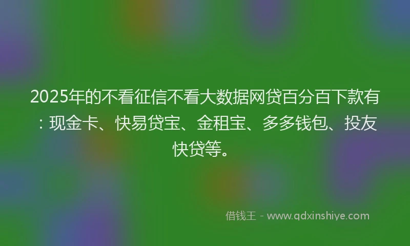 2025年的不看征信不看大数据网贷百分百下款有：现金卡、快易贷宝、金租宝、多多钱包、投友快贷等。