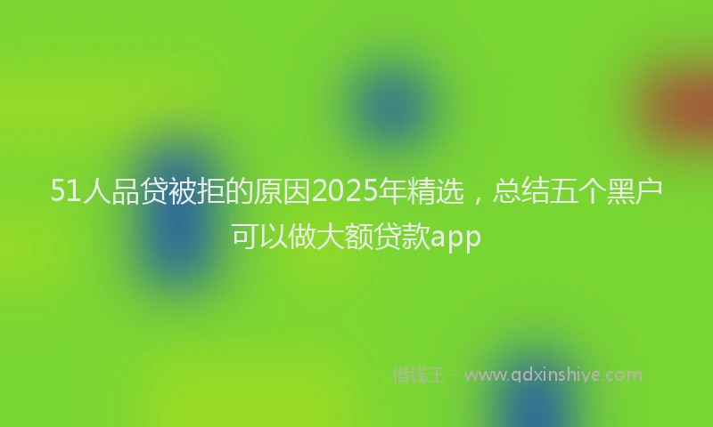 51人品贷被拒的原因2025年精选，总结五个黑户可以做大额贷款app