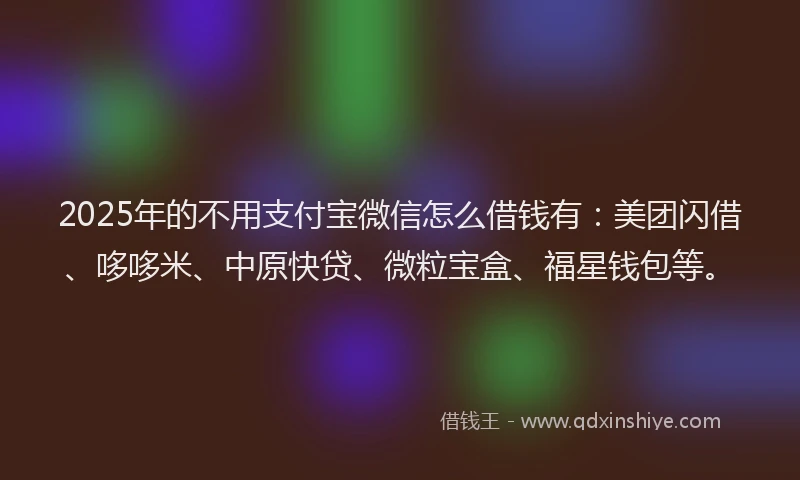 2025年的不用支付宝微信怎么借钱有：美团闪借、哆哆米、中原快贷、微粒宝盒、福星钱包等。