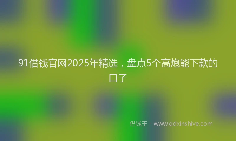 91借钱官网2025年精选，盘点5个高炮能下款的口子