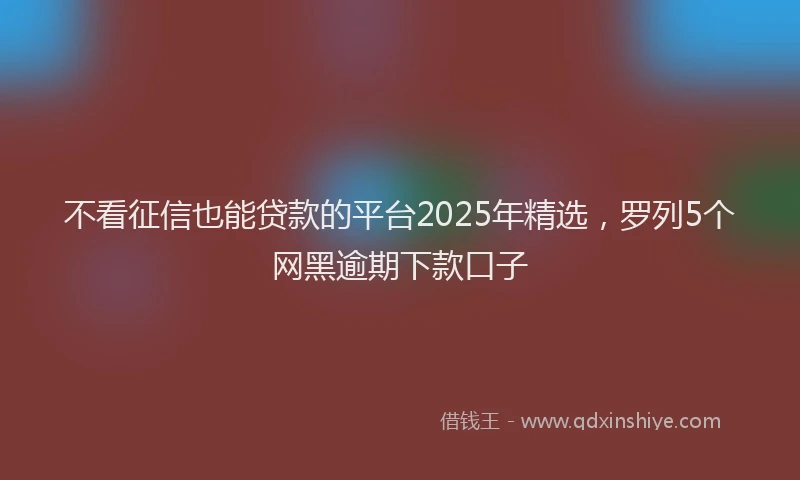 不看征信也能贷款的平台2025年精选，罗列5个网黑逾期下款口子
