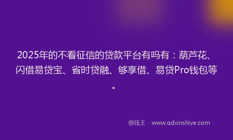 2025年的不看征信的贷款平台有吗有：葫芦花、闪借易贷宝、省时贷融、够享借、易贷Pro钱包等。