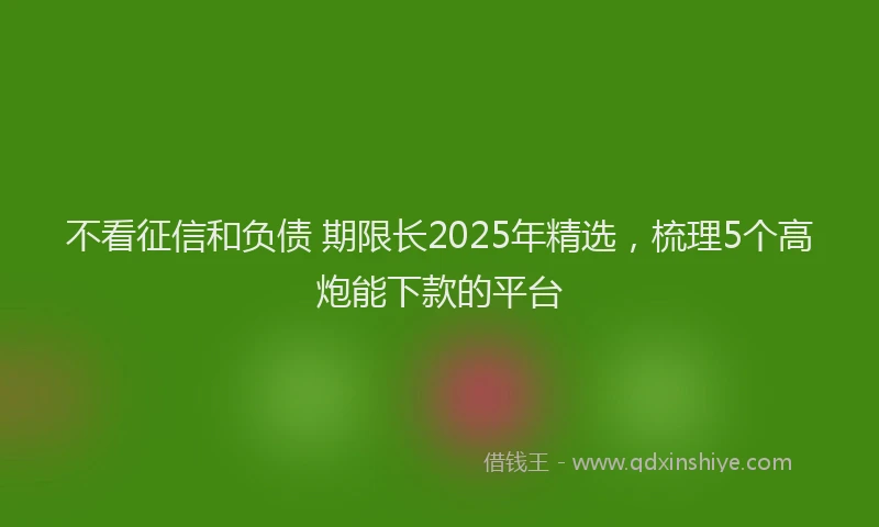 不看征信和负债 期限长2025年精选，梳理5个高炮能下款的平台