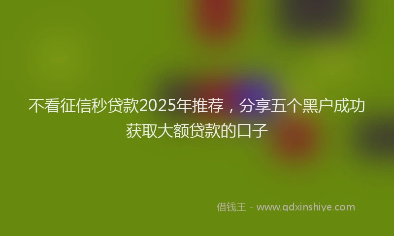 不看征信秒贷款2025年推荐，分享五个黑户成功获取大额贷款的口子