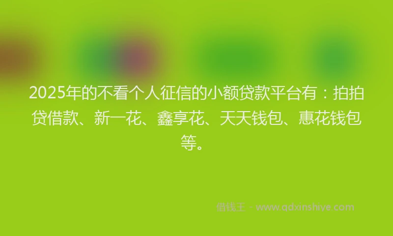 2025年的不看个人征信的小额贷款平台有：拍拍贷借款、新一花、鑫享花、天天钱包、惠花钱包等。