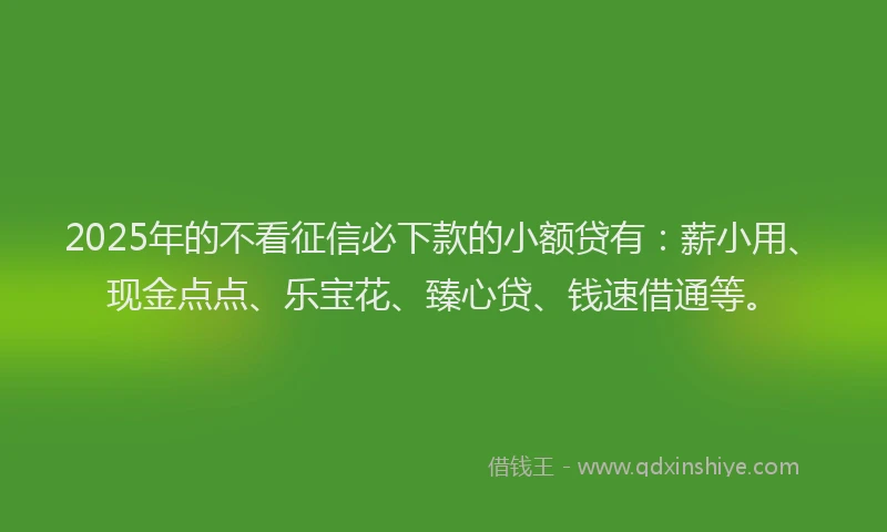 2025年的不看征信必下款的小额贷有：薪小用、现金点点、乐宝花、臻心贷、钱速借通等。