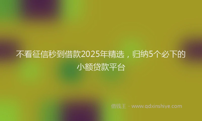 不看征信秒到借款2025年精选，归纳5个必下的小额贷款平台