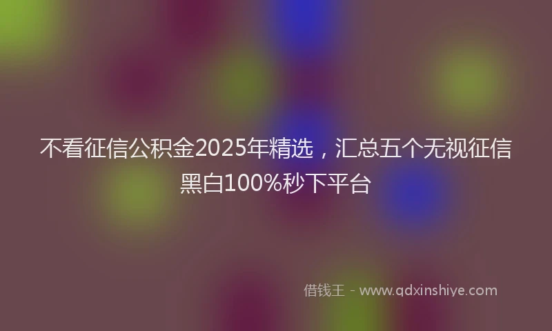 不看征信公积金2025年精选，汇总五个无视征信黑白100%秒下平台