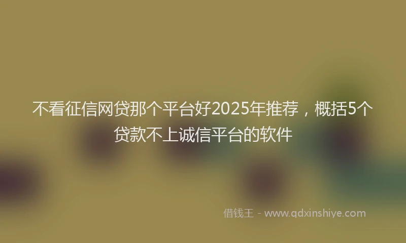 不看征信网贷那个平台好2025年推荐，概括5个贷款不上诚信平台的软件