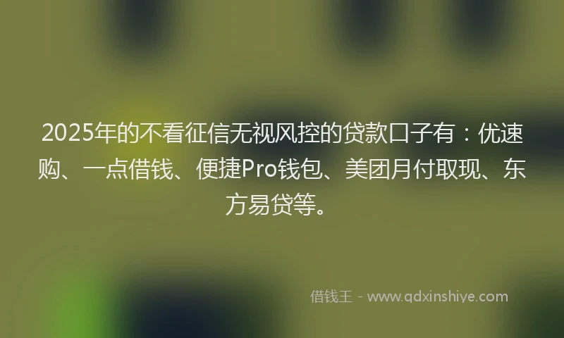 2025年的不看征信无视风控的贷款口子有：优速购、一点借钱、便捷Pro钱包、美团月付取现、东方易贷等。