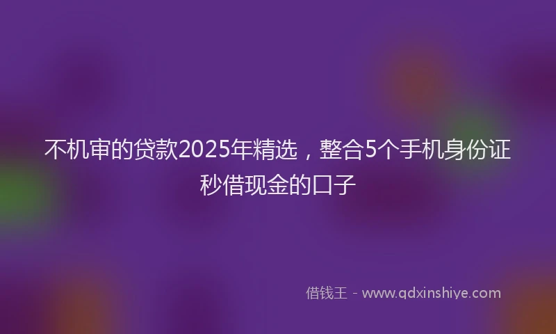 不机审的贷款2025年精选，整合5个手机身份证秒借现金的口子