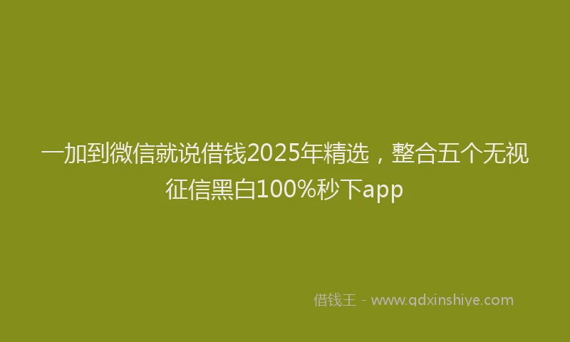 一加到微信就说借钱2025年精选，整合五个无视征信黑白100%秒下app